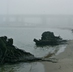 20120225 Brug in de mist