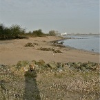 20120309 Hunnebedden op het strand