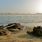 20120322 Bergen aan zee