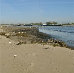 20120401 Bananendoos in het strand