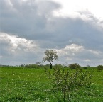 20120418 Hij kan niet schuilen