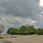 20120418 Groeisels in een oceaan van wolken