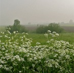 20120521 Zoals in het klein, zo is het in het groot