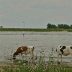 20120626 Je kan je kont niet keren of je kop valt eraf