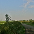 20120814 Alle wegen leiden naar Dodewaard