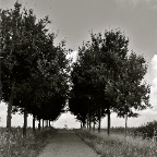 20120823 Brommen op de dijk