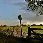 20120919 Aanbeeldwolk boven de Waal