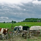 20120926 Klusje voor Quick-Fit