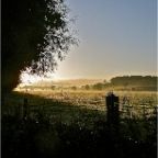 20121007 De herfst komt eraan