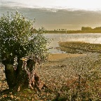 20121010 Herfst aan het mistige water