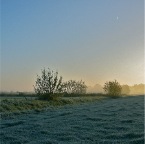 20121028 Aan de voet van de dijk