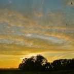 20121114 Coulisen in de lucht