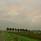 20121115 Kleurig op een rij