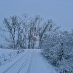 20121207 Knoerp-knoerp naar het licht