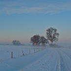 20121208 Afgetekend boven de mist