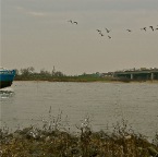 20121214 Op de vlucht voor een tuimelaar