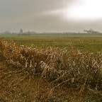 20121218 Het bruine land