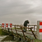 20121228 Er zijn kapers op de kust