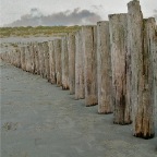 20100430 Strand Ameland