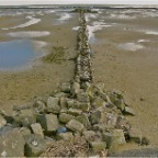 20100501 Wad Ameland