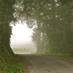 20110804 Een tra (kruiswoordraadsel), Le Muret