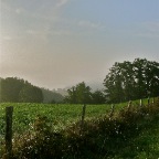 20110804 Landschap in de mist, Le Muret