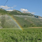 20120722 Er wordt met regenbogen gestrooid