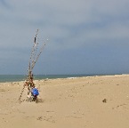 20130525 Sculptuur op strand van verlaten eiland Ilha de Culathra